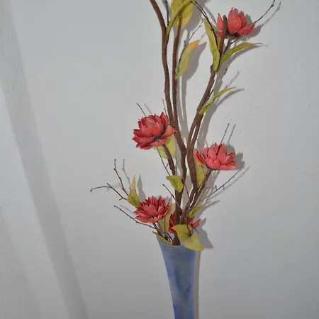 Sofia's House Casa de Férias