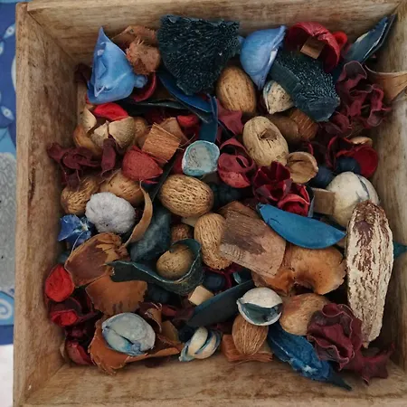 Ferienhaus Sofia's House *