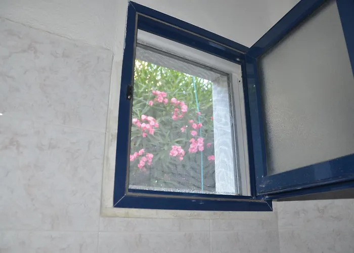 Case de vacanță Sofia's House