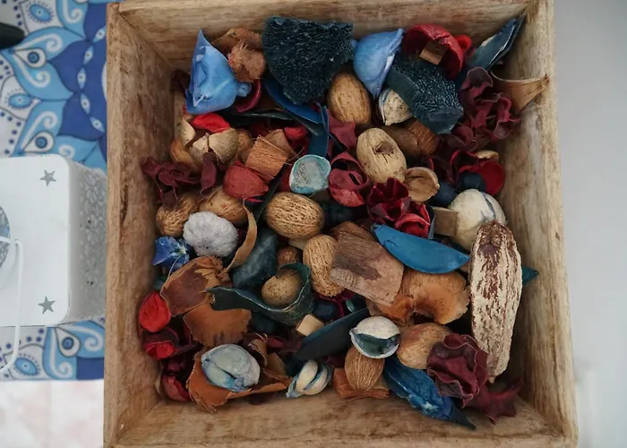 Case de vacanță Sofia's House *