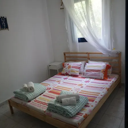 Sofia's House