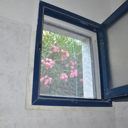 Tatil Evi Sofia's House